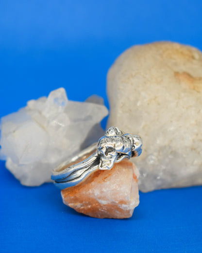 Anillo Cayo